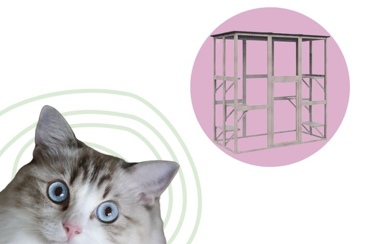 what-is-a-catio-lux-cat-living